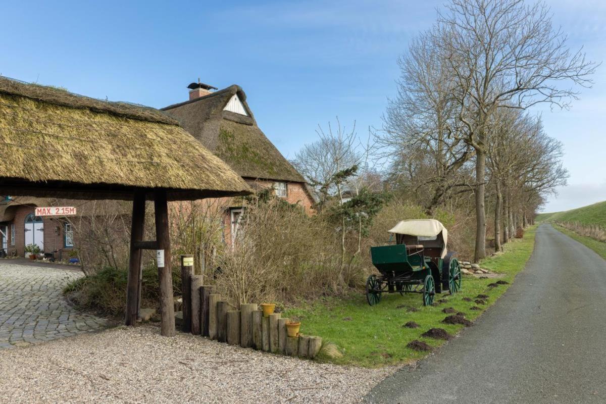 Vila Deichmuschel Woehrden Exteriér fotografie
